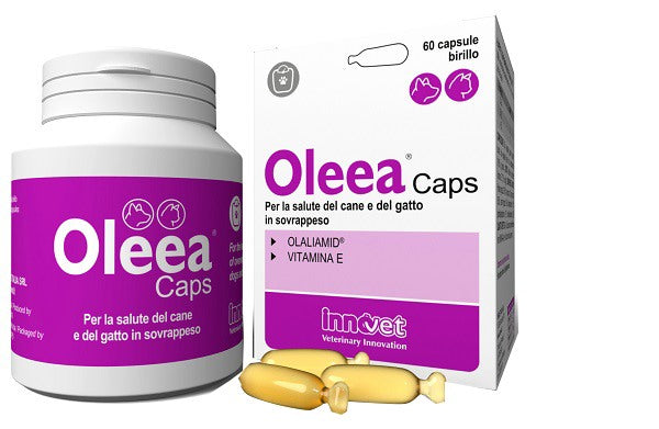 innovet italia oleea caps 60 capsule innovet ean 8021676020934