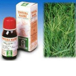 specchiasol srl gramigna 37 50ml tm ean 8002738822161
