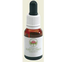 green remedies lichen 15 ml gocce