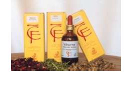 cento fiori fico gemme macerato glicerico 100 ml cento fiori ean 8032532752043