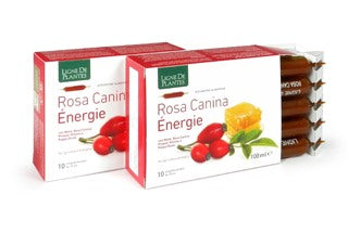 natura service rosa canina energie biologico 10 ampolle bevibili da 10 ml ean 8053340920547