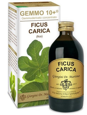 dr giorgini ser vis gemmo 10 fico liquido analcolico 200 ml giorgini ean 8051827613777
