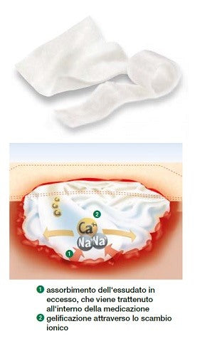 lohmann rauscher medicazione sterile in alginato di calcio compressa suprasorb a altamente assorbente 10x10 cm 10 pezzi ean 4021447204413