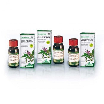specchiasol gemmosol 24 fico 50ml specchiasol ean 8002738825902
