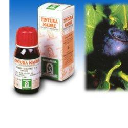 specchiasol mirtillo 31 50ml tm specchiasol ean 8002738821805