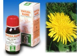 specchiasol named tarassaco 28 50ml tm specchiasol ean 8002738821621