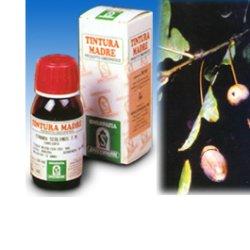 specchiasol quercia mari 14 50ml tm specchiasol ean 8002738820785